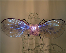 Optic fiber fairy wings