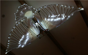 Angel Wings design